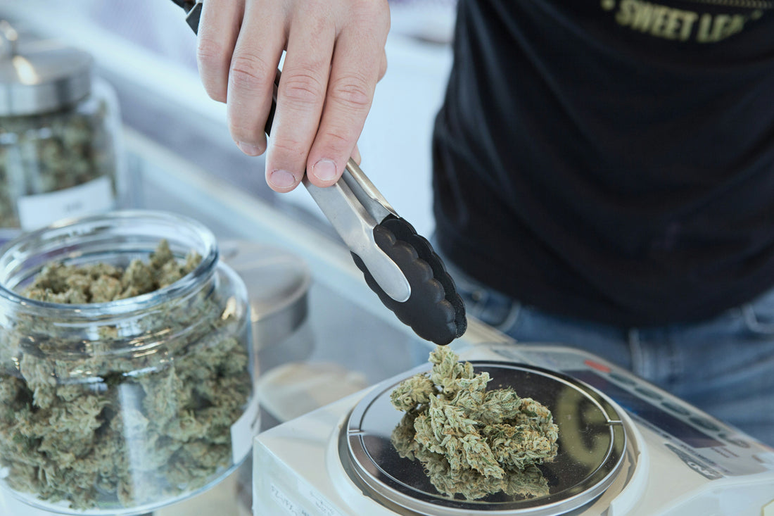 Is THCa Legal in Florida?