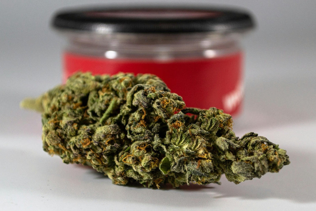 Cannabis bud closeup with red container