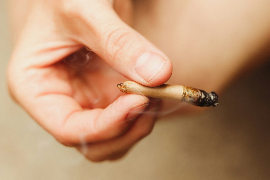 Does THC Kill Brain Cells?
