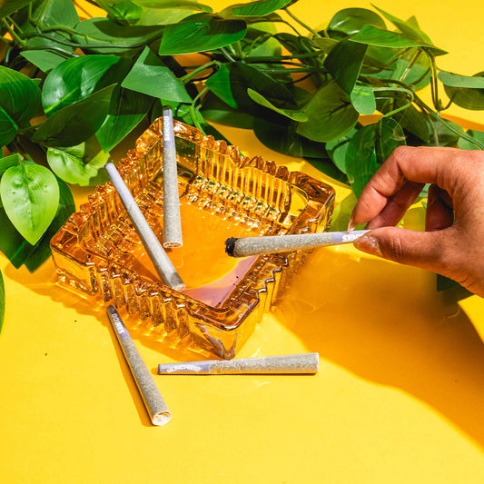 THCO & THCA Explained: Key Differences You Should Know