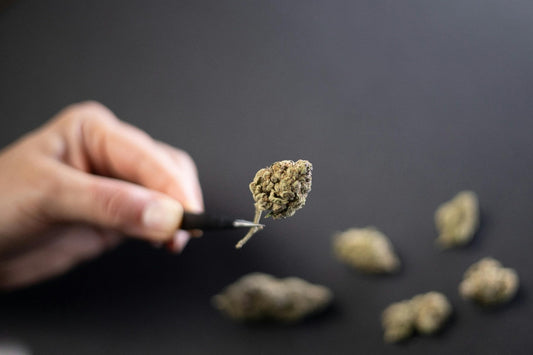 Person holding cannabis dab
