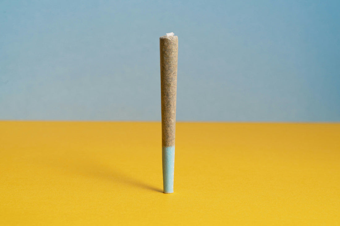 Pre-Rolls vs Joints