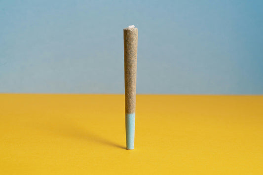 Pre-Rolls vs Joints