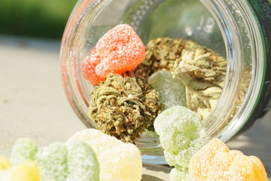 Sativa vs Indica Edibles
