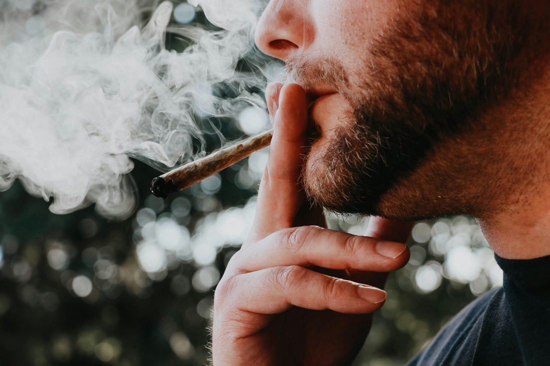 Vape Pen or Flower: What Gets You Higher? | Munchies! Vape Pen or Flower: What Gets You Higher? | Munchies!