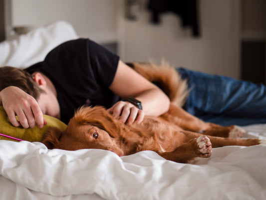 THC and Melatonin: Can You Take Melatonin With THC?