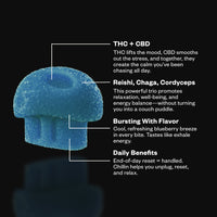 Functional Microdose Gummies