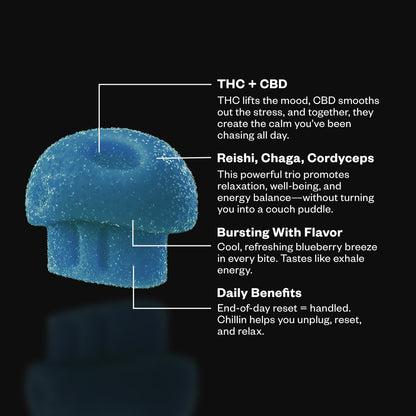 Functional Microdose Gummies