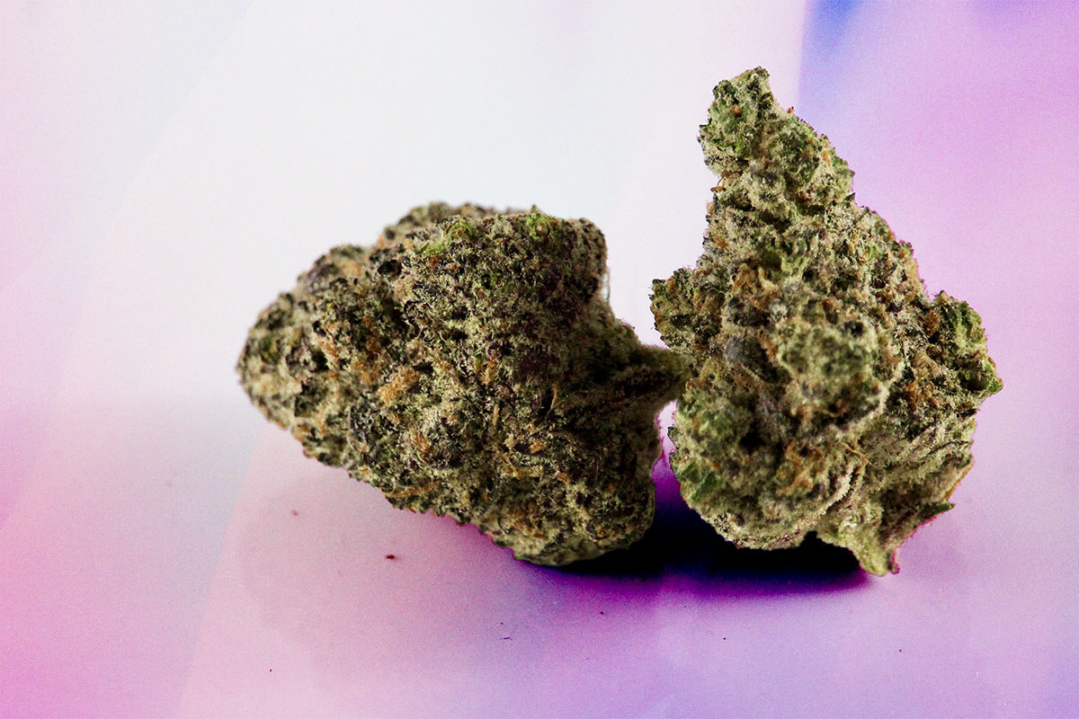 Close up of cannabis CBG flower buds on a light pink background.