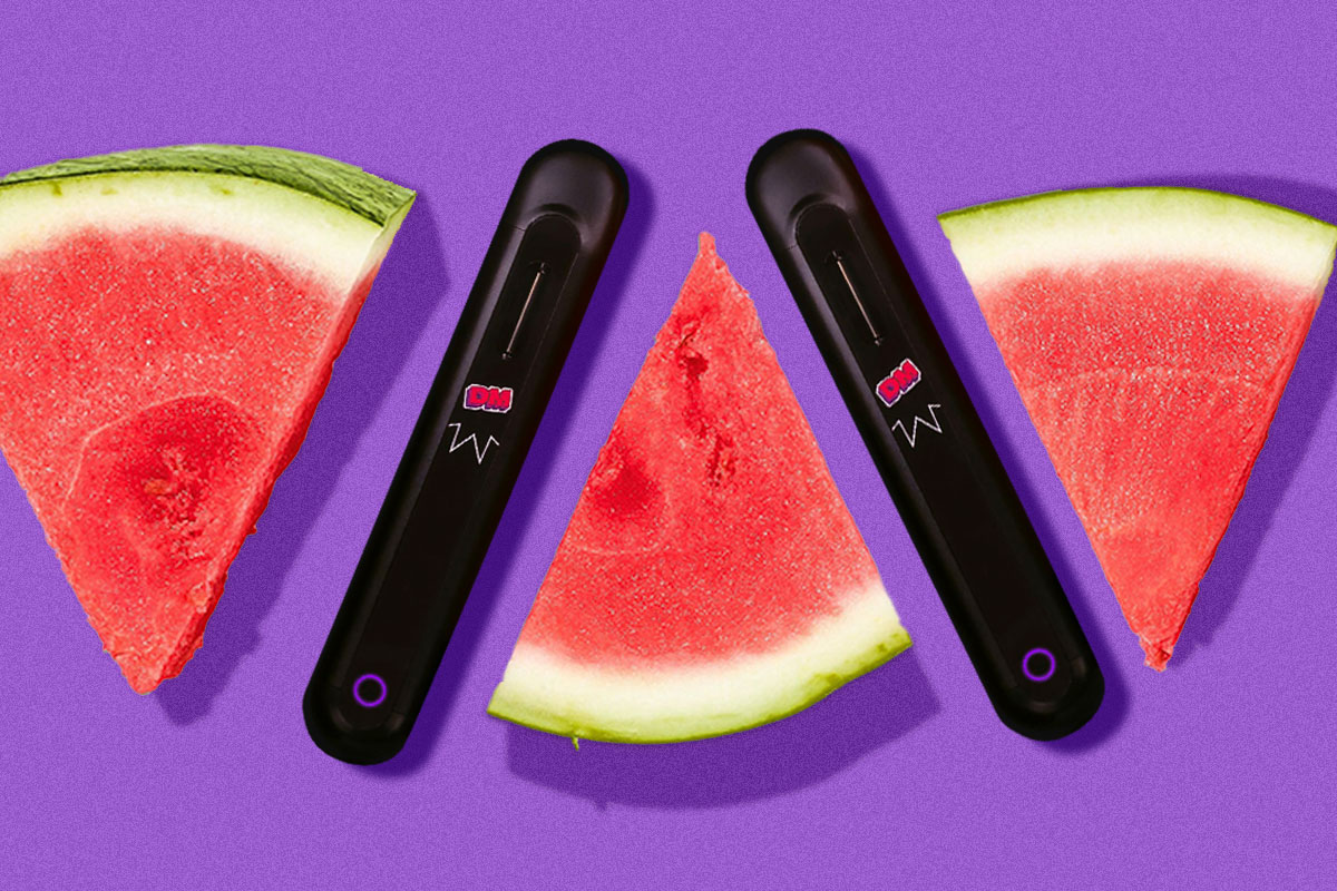 2 disposable delta 8 vapes from Delta Munchies between slices of watermelon.