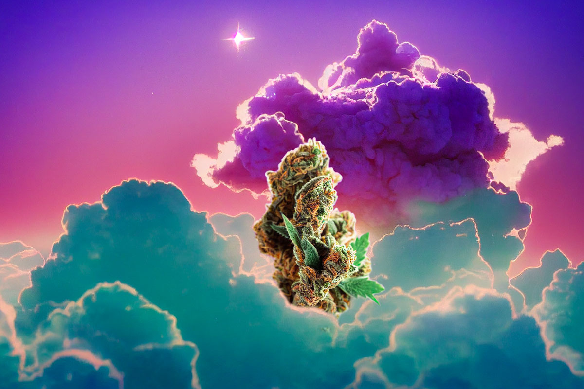 Marijuana bud on a pink and blue clouded sky.