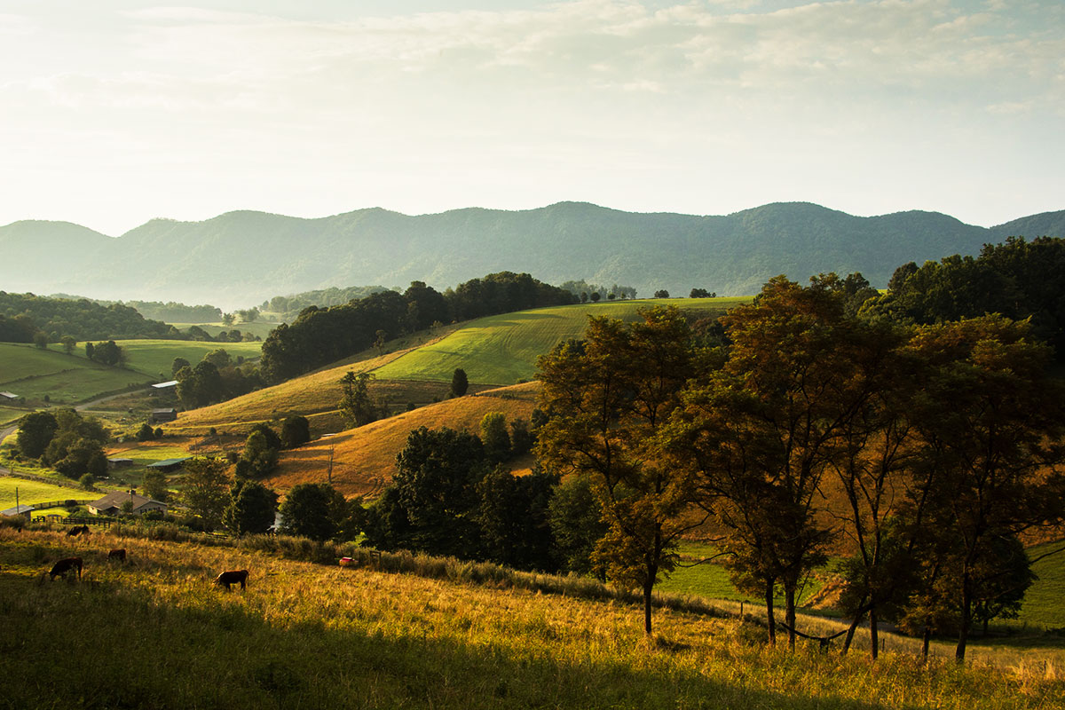 Photo of a grassland in Virginia.