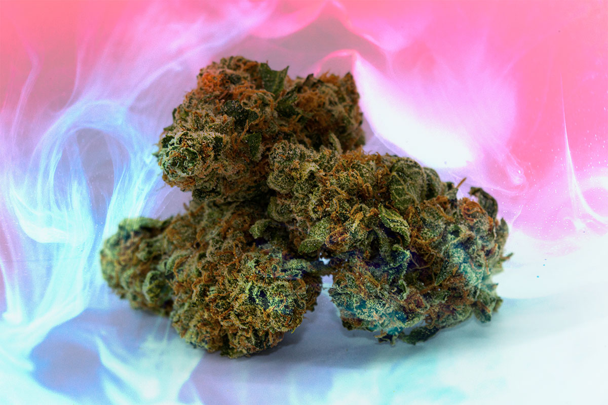 Marijuana buds in a pink and blue set with smoke.