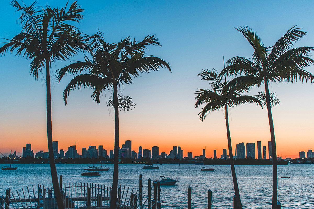Miami skyline behid four palmtrees.