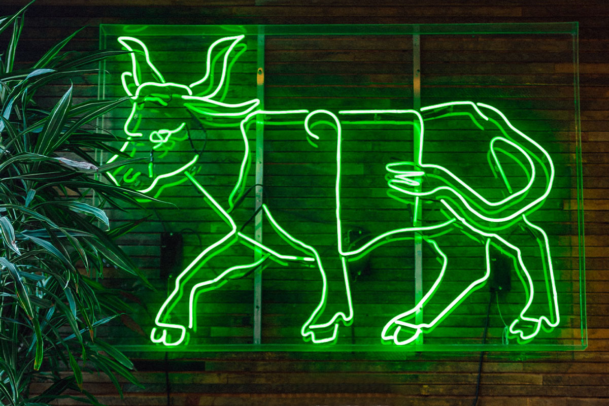 Green neon light in the shape of a bull.