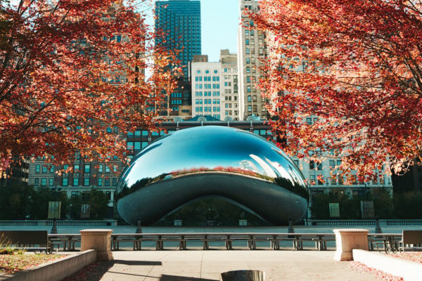 Chicago Bean during a Fall afternoon.