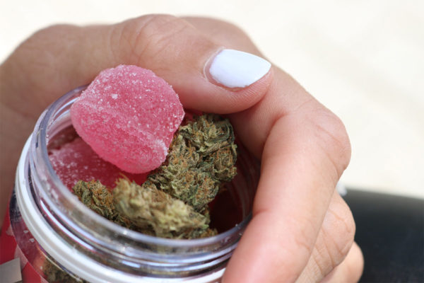 Woman's hand grabs a jar with marijuana flower and gummies.