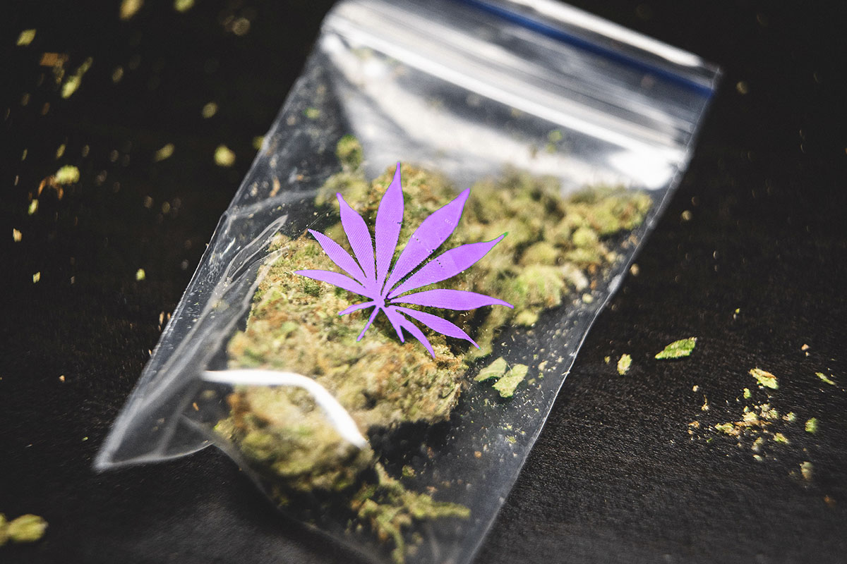 Small ziploc bag with marijuana flower with a purple marijuana leaf printed on it.