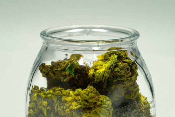 Green cannabis in a clear glass jar.