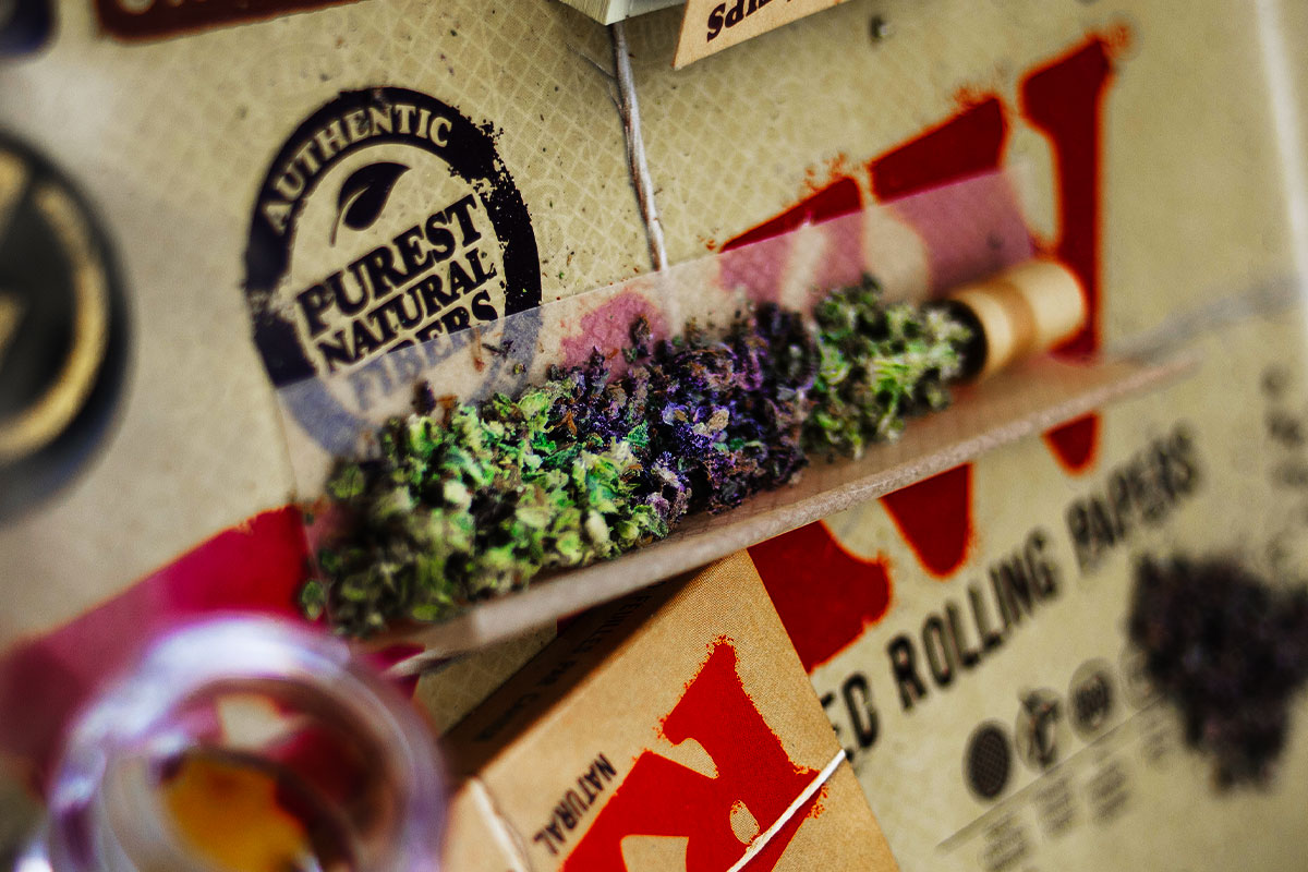 Raw weed flowers with a small joint roll on a paper rack attached to a carton box