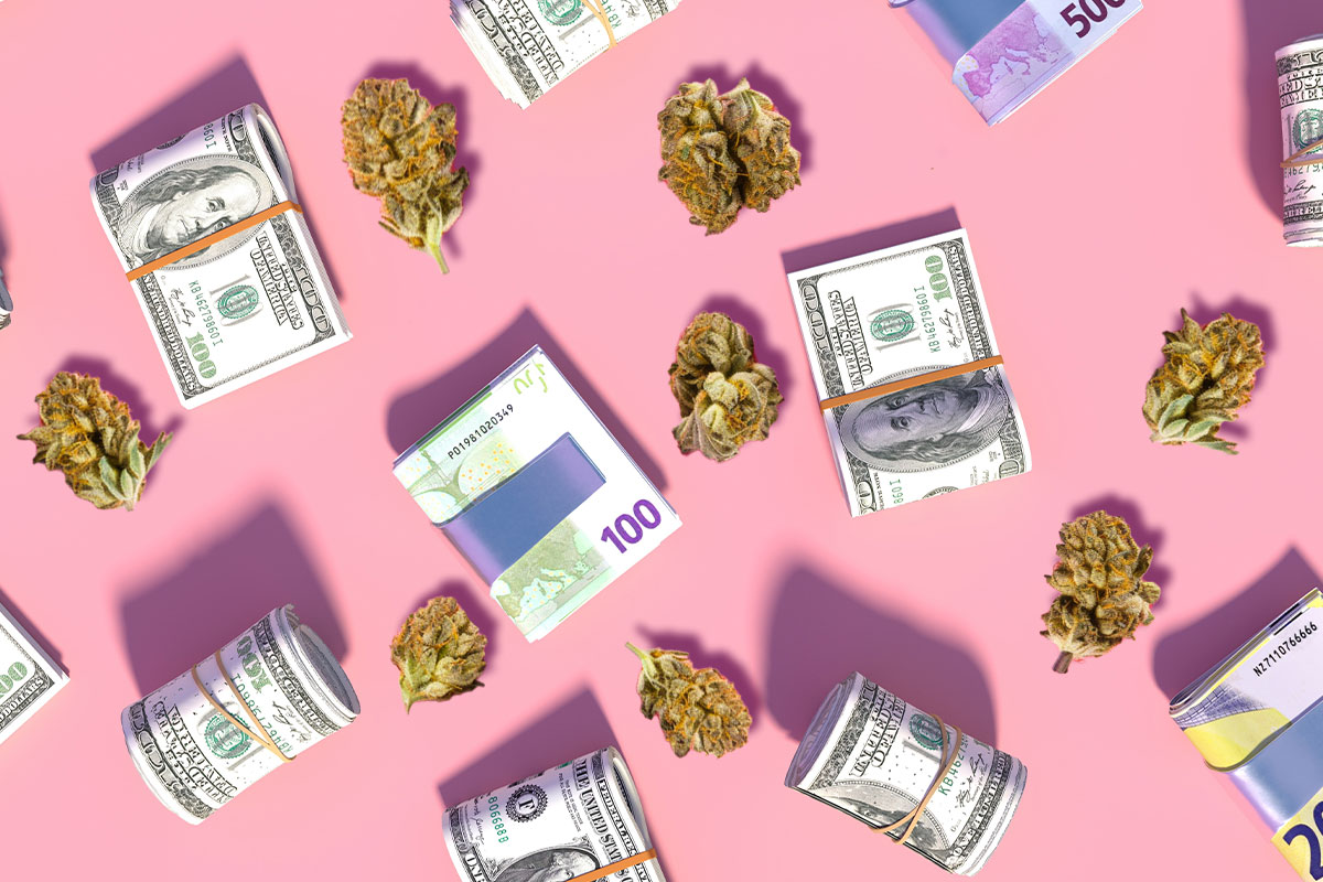 Some bundle of dollars and some cannabis strains kept on a pink surface
