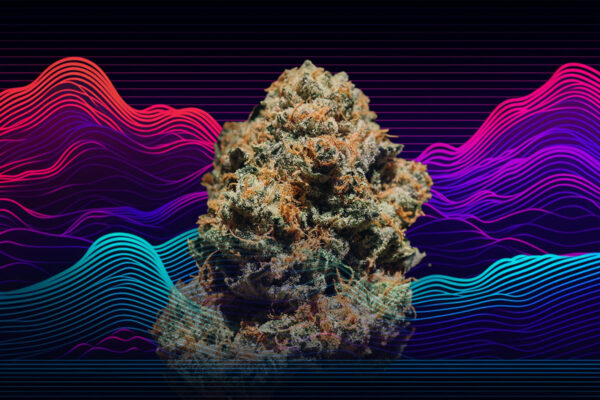A Cannabis joint rests on a black surface surrounded by a multicolored wave