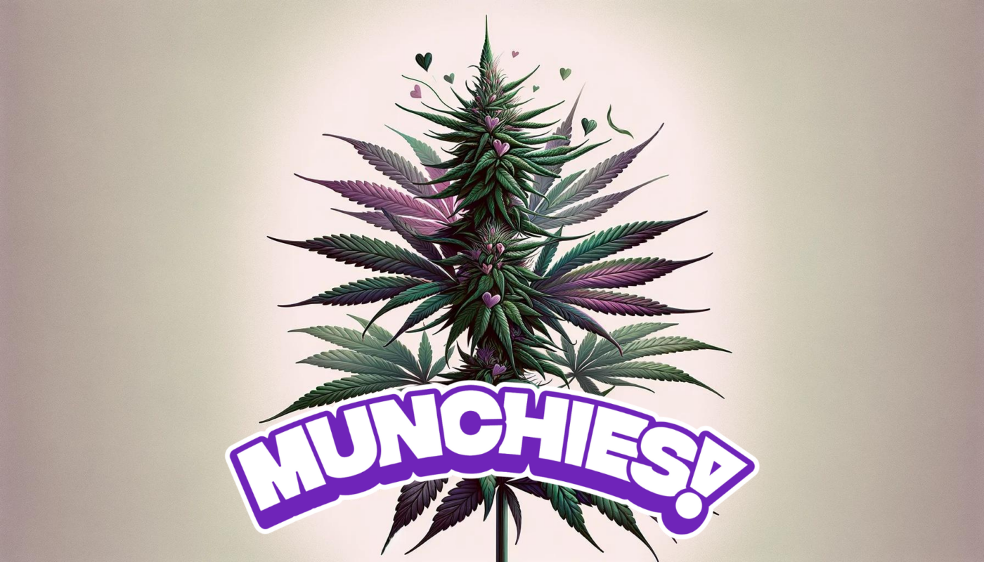 Munchies weed plant